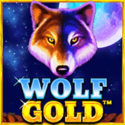 Sói vàng icon