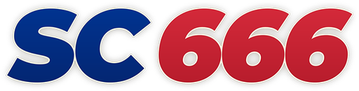 vnsc666.net Logo